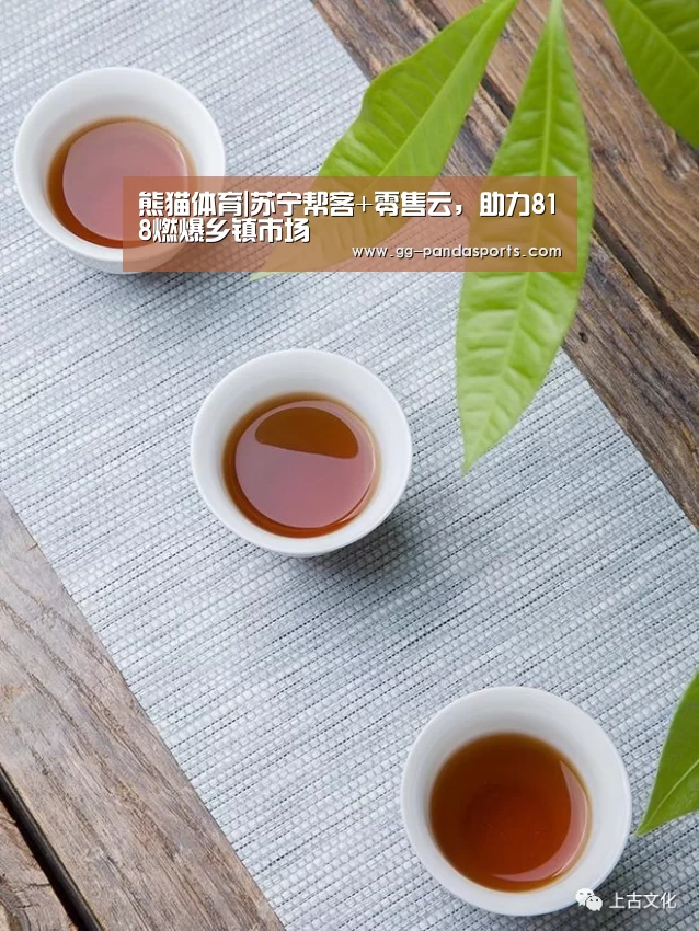 熊猫体育|苏宁帮客+零售云,助力818燃爆乡镇市场(图1) 熊猫体育