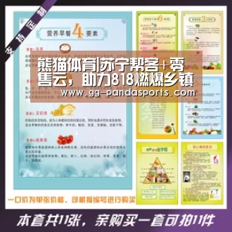 熊猫体育|苏宁帮客+零售云,助力818燃爆乡镇市场(图3) 熊猫体育