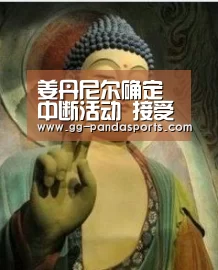 熊猫体育平台