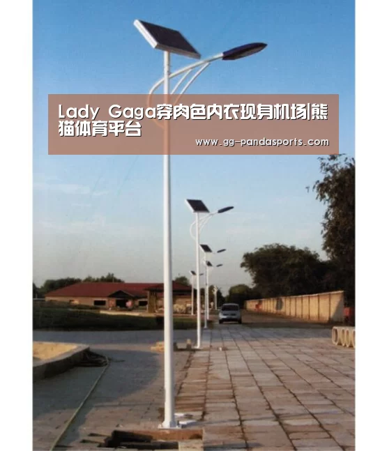 Lady Gaga穿肉色内衣现身机场|熊猫体育平台(图3) 熊猫体育