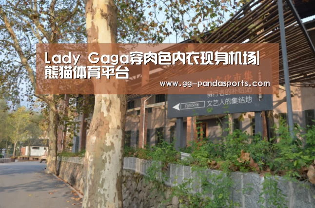 Lady Gaga穿肉色内衣现身机场|熊猫体育平台(图4) 熊猫体育官网