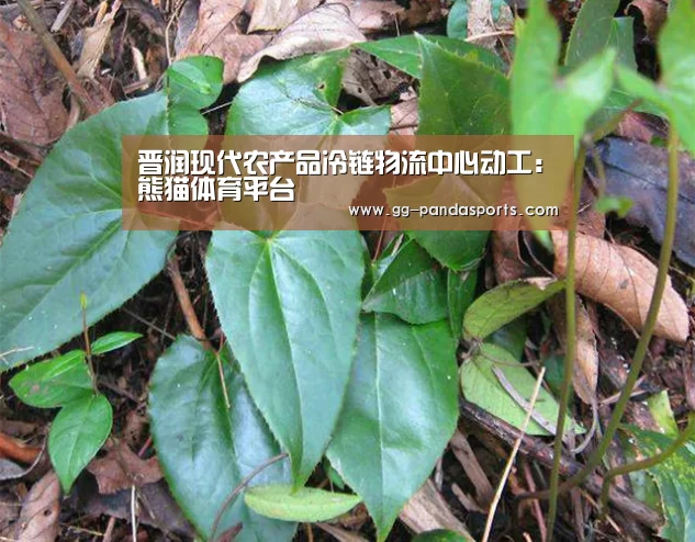 晋润现代农产品冷链物流中心动工:熊猫体育平台(图4) 熊猫体育平台